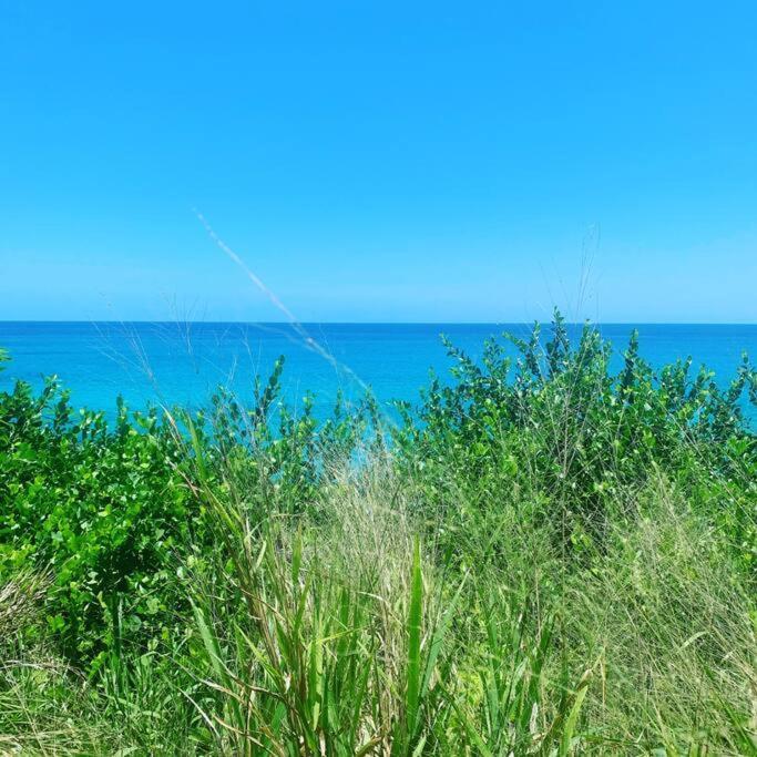Epea Ocean View Top Victoria Extérieur photo